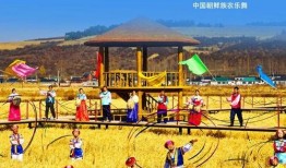 收获的季节在线观看,跟随季节的脚步，在线欣赏农耕之美